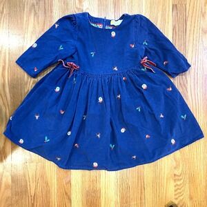 Mini Boden Blue Casual Kids Dress with Embroidered Accents